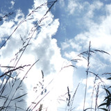 Motive Detail Theme Meaning Topic Publicdomain (71)