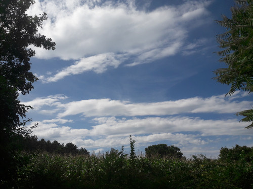 Clouds; Publicdomain; Cc0; Freeimage;.jpg
