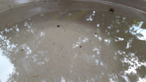 Reflections; Publicdomain; Cc0; Freeimage;.jpg