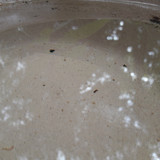 Reflections; Publicdomain; Cc0; Freeimage;