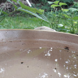 Reflections; Publicdomain; Cc0; Freeimage;