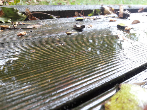 Reflections; Publicdomain; Cc0; Freeimage;.jpg