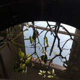 Reflections; Publicdomain; Cc0; Freeimage;