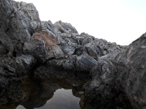 Reflections; Publicdomain; Cc0; Freeimage;.jpg