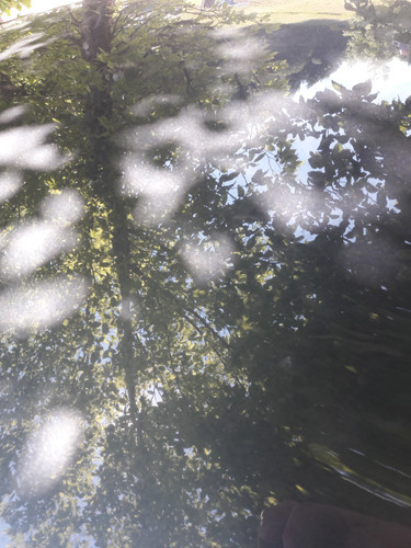 Reflections; Publicdomain; Cc0; Freeimage;.jpg