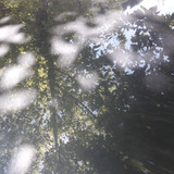 Reflections; Publicdomain; Cc0; Freeimage;