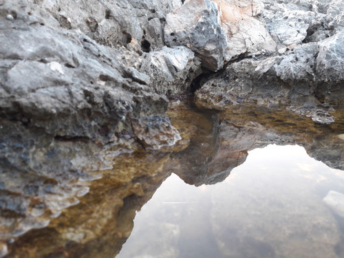 Reflections; Publicdomain; Cc0; Freeimage;.jpg