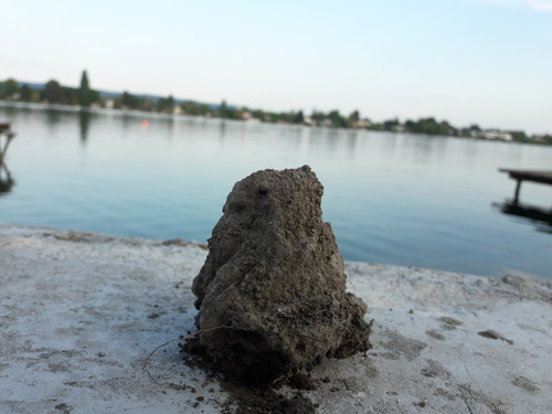 Motive; Publicdomain; Cc0; Freeimage;