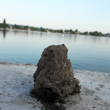 Motive; Publicdomain; Cc0; Freeimage;