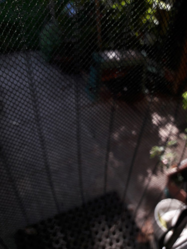 Motive; Publicdomain; Cc0; Freeimage;.jpg