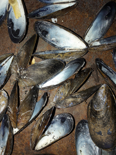 Motive; Publicdomain; Cc0; Freeimage;.jpg