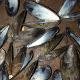 Motive; Publicdomain; Cc0; Freeimage;