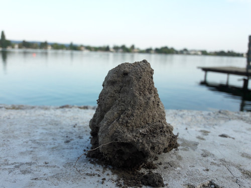 Motive; Publicdomain; Cc0; Freeimage;.jpg