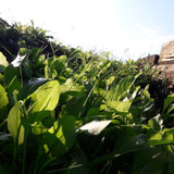 Motive; Publicdomain; Cc0; Freeimage;