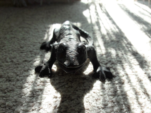 Motive; Publicdomain; Cc0; Freeimage;