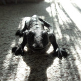 Motive; Publicdomain; Cc0; Freeimage;