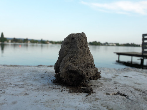 Motive; Publicdomain; Cc0; Freeimage;.jpg