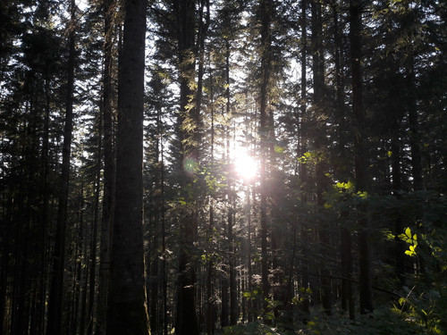 Skies Sun Bright Publicdomain (38).jpg