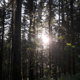 Skies Sun Bright Publicdomain (38)