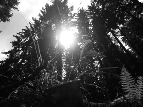 Skies Sun Bright Publicdomain (39).jpg