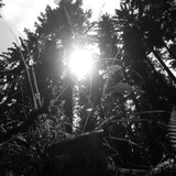 Skies Sun Bright Publicdomain (39)