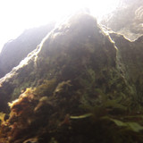 DCIM\100MICRO
