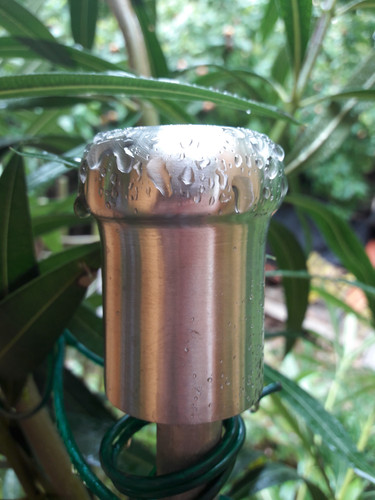 Motive; Publicdomain; Cc0; Freeimage;.jpg