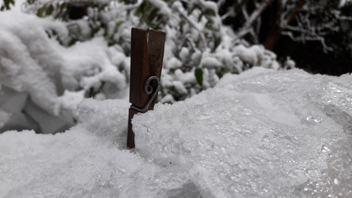 Motive; Publicdomain; Cc0; Freeimage;.jpg