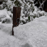 Motive; Publicdomain; Cc0; Freeimage;