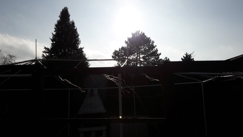 Motive; Publicdomain; Cc0; Freeimage;.jpg