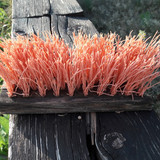 Motive; Publicdomain; Cc0; Freeimage;