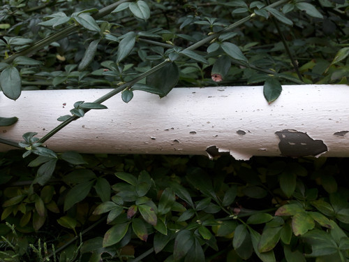 Motive; Publicdomain; Cc0; Freeimage;.jpg