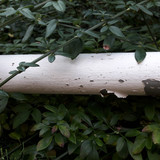 Motive; Publicdomain; Cc0; Freeimage;