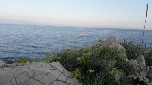 Shore; Publicdomain; Cc0; Freeimage;.jpg