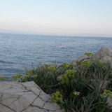 Shore; Publicdomain; Cc0; Freeimage;