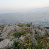 Shore; Publicdomain; Cc0; Freeimage;