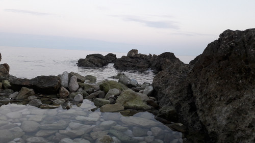 Shore; Publicdomain; Cc0; Freeimage;.jpg