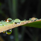 Waters Droplets Drops Wet Publicdomain (72)