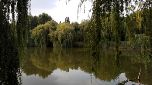 Lake; Publicdomain; Cc0; Freeimage;.jpg