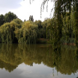 Lake; Publicdomain; Cc0; Freeimage;