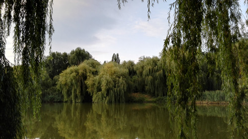 Lake; Publicdomain; Cc0; Freeimage;.jpg