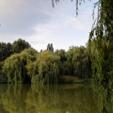 Lake; Publicdomain; Cc0; Freeimage;