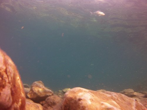 Sea; Publicdomain; Cc0; Freeimage;.jpg