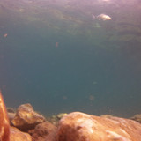 Sea; Publicdomain; Cc0; Freeimage;