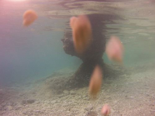 Sea; Publicdomain; Cc0; Freeimage;.jpg