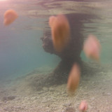 Sea; Publicdomain; Cc0; Freeimage;