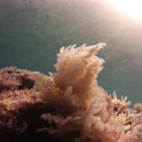 Sea; Publicdomain; Cc0; Freeimage;