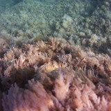 Sea; Publicdomain; Cc0; Freeimage;