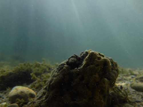 Water; Publicdomain; Cc0; Freeimage;.jpg