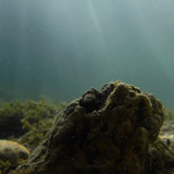 Water; Publicdomain; Cc0; Freeimage;